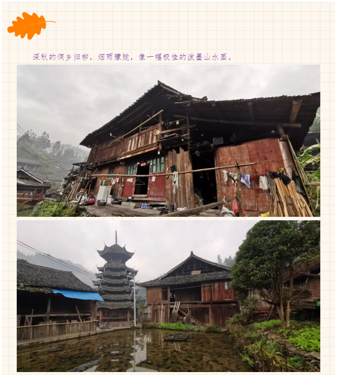 一路“黔”行——《意写家山》广西高铁沿线四城市联合采风活动在贵州省榕江县栽麻镇归柳村开展