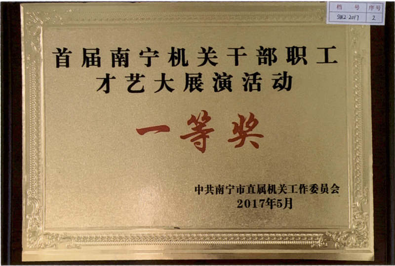 2017.5 首届南宁机关干部职工才艺大展演活动 一等奖.jpg