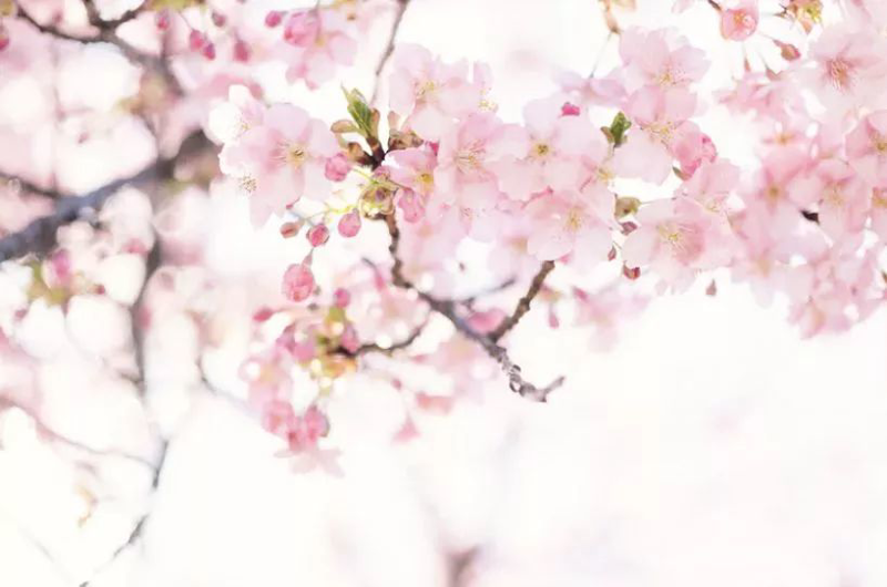 展新时代巾帼风采 迎新征程百花齐放---2019年南宁市业余文艺团队专场演出精彩上演